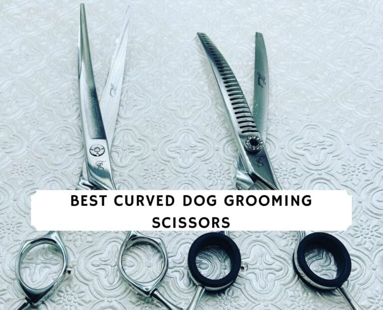 Best Curved Dog Grooming Scissors